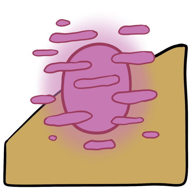 A pink glowing oval with little horizontal pink blobs across and around it. Curved yellow skin fills the bottom half of the background.